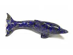 Lapis Dolphin