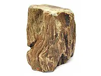 Petrified Wood