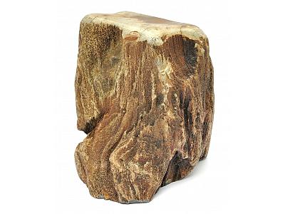 Petrified Wood